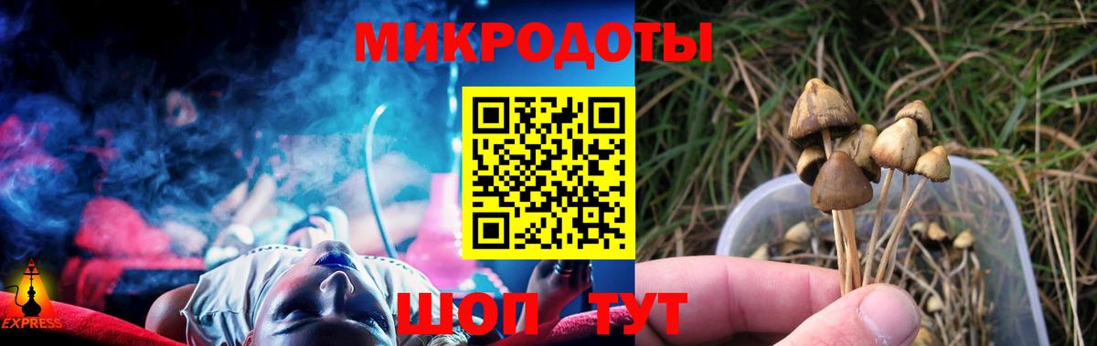 Галлюциногенные грибы Psilocybe  Псилоцибиновые грибы Magic Shrooms  Артём  Вход с VPN 
